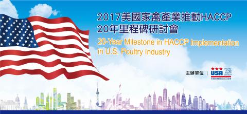 Doreen - 背板設計