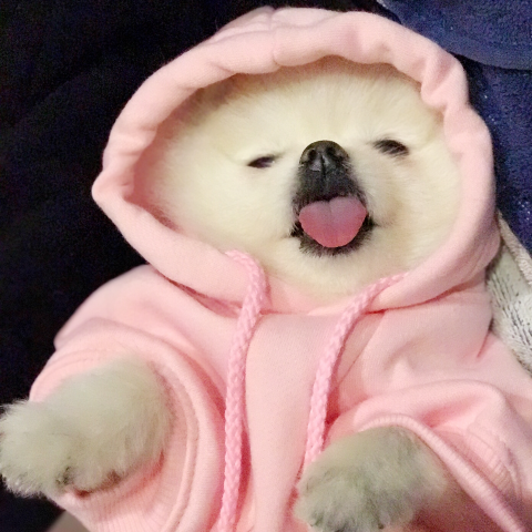 提供2049國泰服務的專家國泰世華