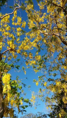 許漢昇工作室 - 