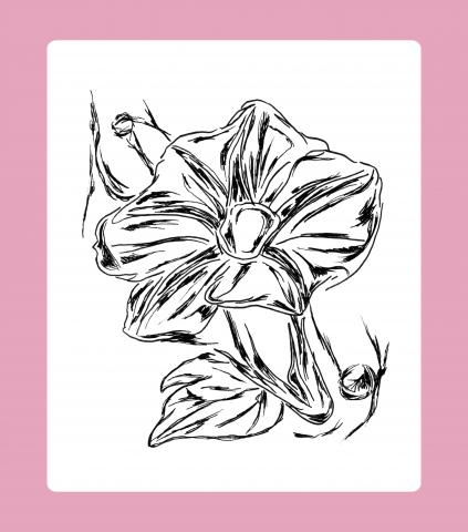 Hsieh,Hsiao-Yu - 手繪插畫　二