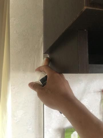 旭輝消毒 - 蟑螂防治