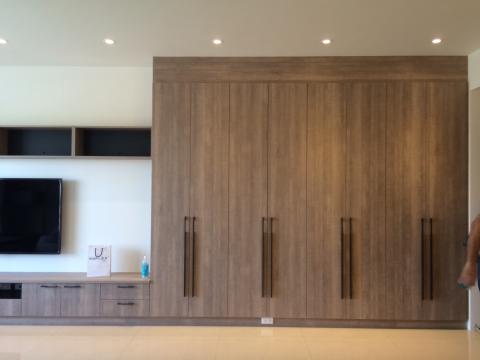 ChinLu - 收納鞋櫃、電視櫃