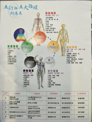 喜朵spa - 產品主要之一強項
也是運用在按摩的重點之一
動脈、靜脈、淋巴、神經、能量系統的相互平衡