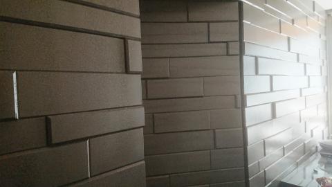 定旺室內裝修工程   - 造型壁板- 隱藏門- 金屬花紋