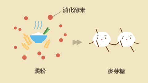 玩食視覺 - 科學內容文章插圖設計