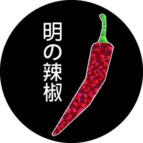 金升實業股份有限公司 - 