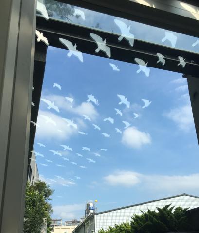 彩比空間設計工程有限公司 - 光影設計
裡用自然光線折射後形成投影於落地窗的變化