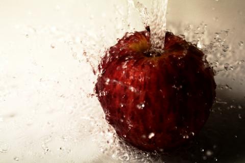 張岳文 - 藝術照