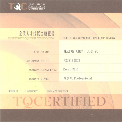 陳婕瑜 - TQC-Excel Professional