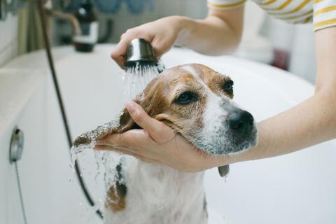 九月四日影像工作室 - 