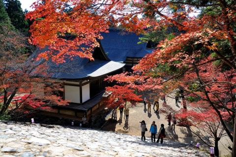 Katoh攝影工作室(婚攝/商攝) - 風景攝影作品