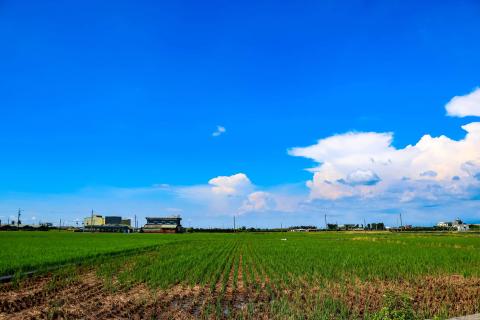 劉躍 - 平面拍攝