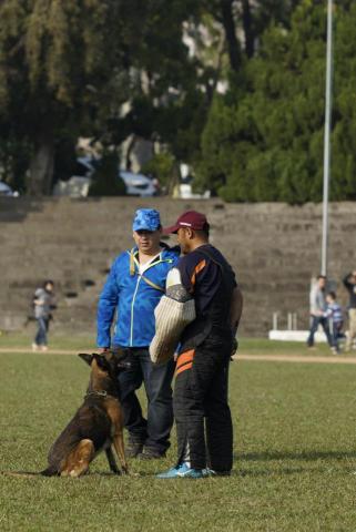 華勝警犬訓練諮詢中心 - 