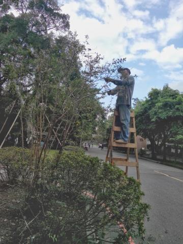 台元造景有限公司 - 