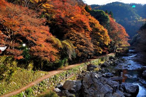 Katoh攝影工作室(婚攝/商攝) - 風景攝影作品