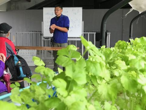 魚菜共生時代 - 魚菜共生課程教學，透由課程與實作來讓學員更容易學習到魚菜共生，家庭版的樂趣。