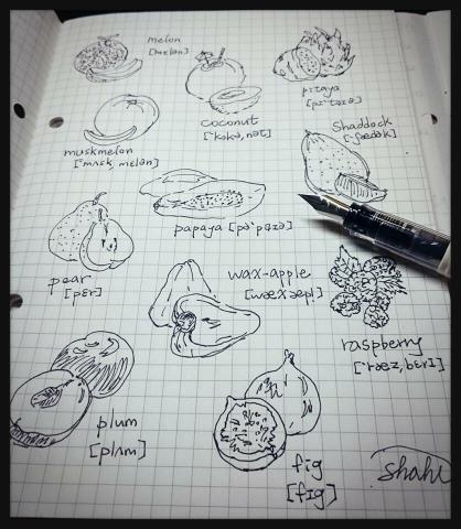 7nStudio - 手繪小插圖海報