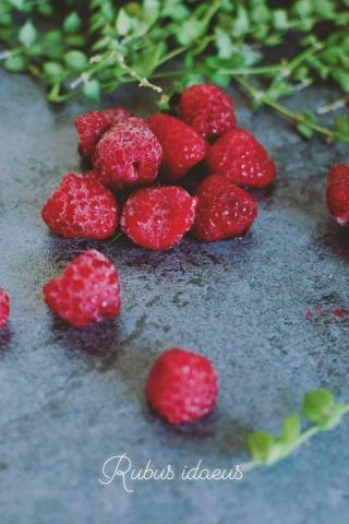 蔡婉婷 - 產品素材攝影