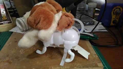 小家,水電維修個體戶 - 狗狗骨頭脫臼,美造啊...