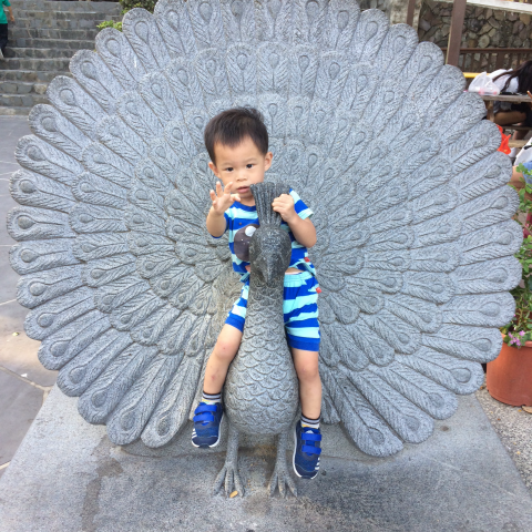 提供台南旅遊包車服務的專家台南包車服務