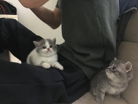 文文 - 躲貓貓❤️