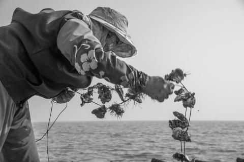 默照攝影 - 人文紀實-母親的故鄉