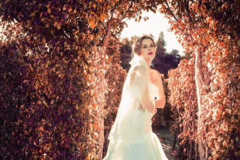 Lookin Photography  - 