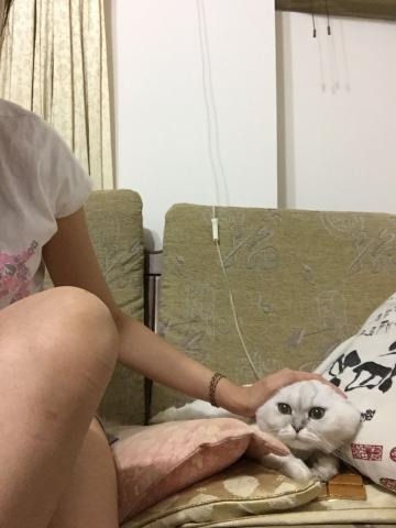 Rita - 打皮下點滴
獨自完成