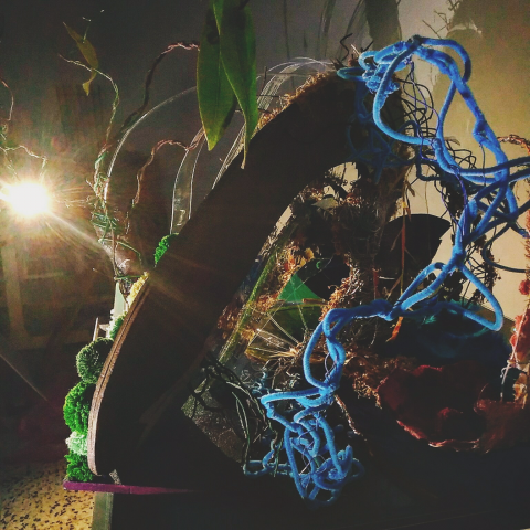 JOU - 攝影，燈光，照片編輯。