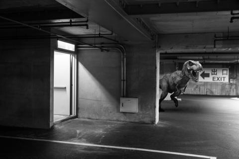 荒島有鹿影像工作室 - 專題攝影『謬景』
探討缺乏想像一成不變的乏味生活。
2016 全國美展攝影類銀牌 於國立台灣美術館展出