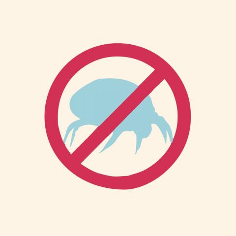 宅潔便-EZcleaning - 專業除蟎