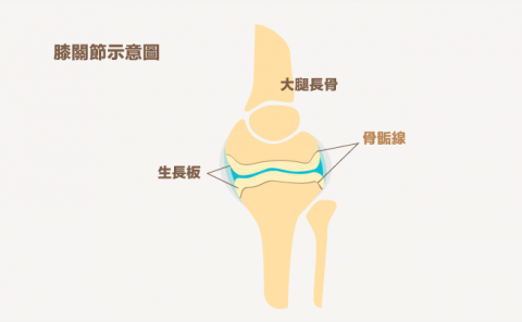 玩食視覺 - 科學內容文章插圖設計