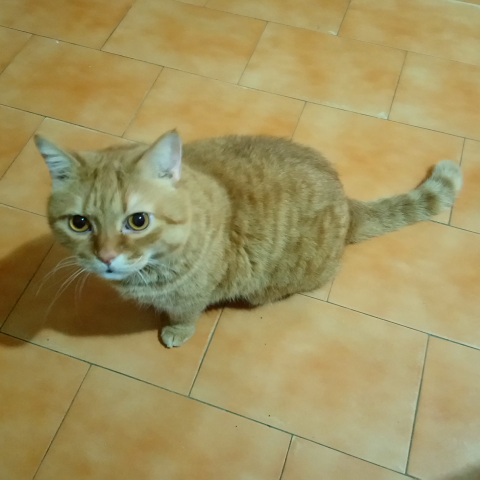 提供裝修公司服務的專家蒨