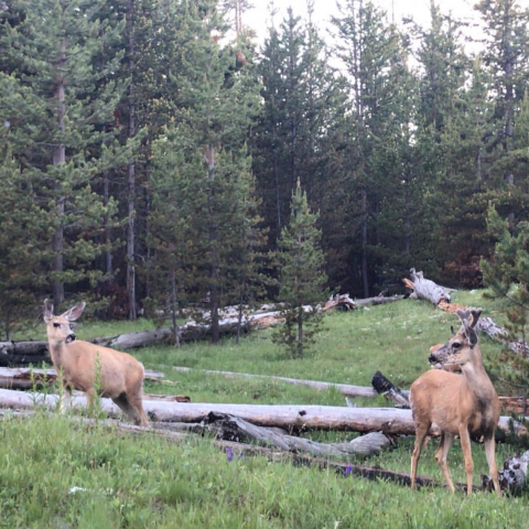 提供991鐘錶店服務的專家Zoe