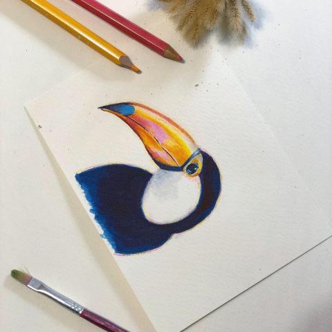 楊凱強Noel Yang - 