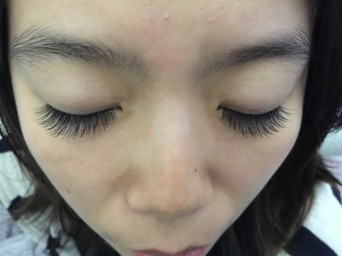 桃樂斯藝術美睫 - 