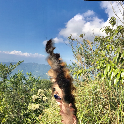 提供統編服務的專家楊詠翔