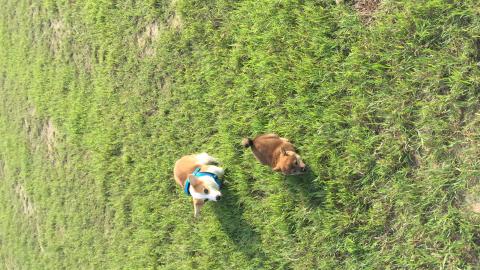 文文 - 短短跟太郎❤️