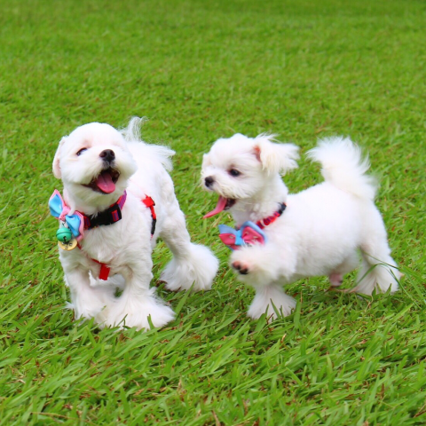 提供173叫車服務的專家HM叫車服務