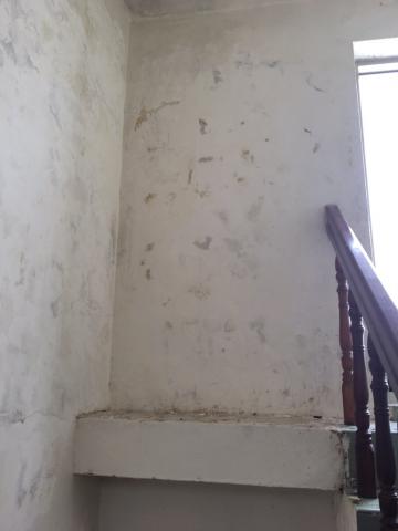 防水抓漏油漆 - 室內油漆修補粉刷