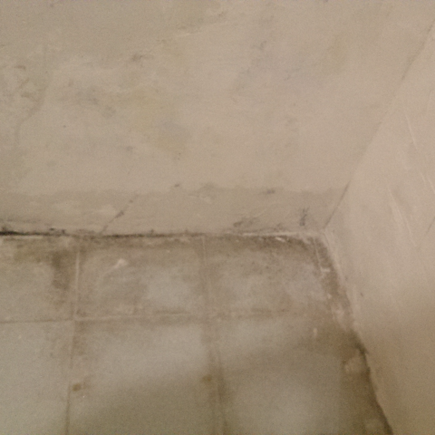 油漆工坊 - 未施工前圖
提供參考
專業品質