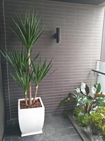 新竹綠的空間-園藝美化工程 - 