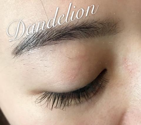 Dandelion 蒲公英時尚美學工作室 - 