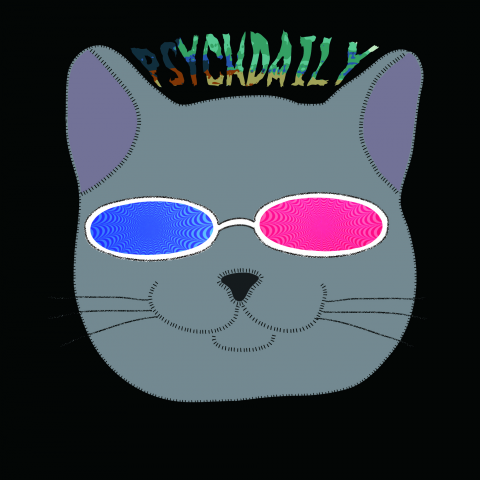 提供視頻剪輯教程服務的專家蕭宇柔