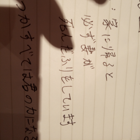 提供n2服務的專家楊絃