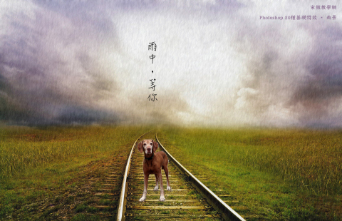 Goose - 文案設計。
以Photoshop製作文案所需的圖片。