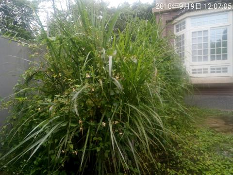 鋁業安裝 - 龍潭顏先生除草