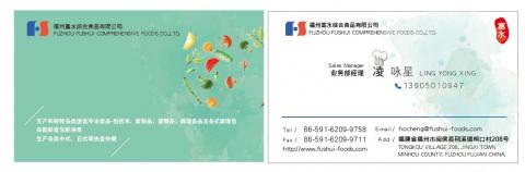 極光視覺設工作室 - 名片設計