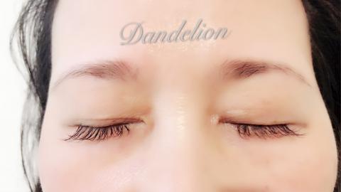 Dandelion 蒲公英時尚美學工作室 - 
