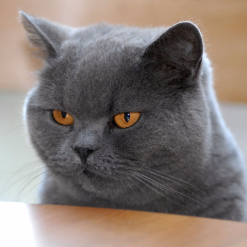 捷修電腦工作室 捷修電腦工作室